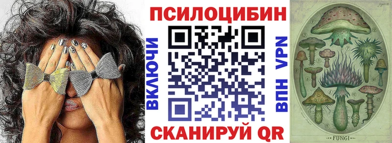 Купить где  Первомайск  Псилоцибиновые грибы Psilocybine cubensis 